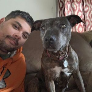 Meet your Posher, Sean